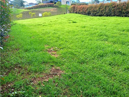 Lote En Venta Sector Alto De Palmas Envigado