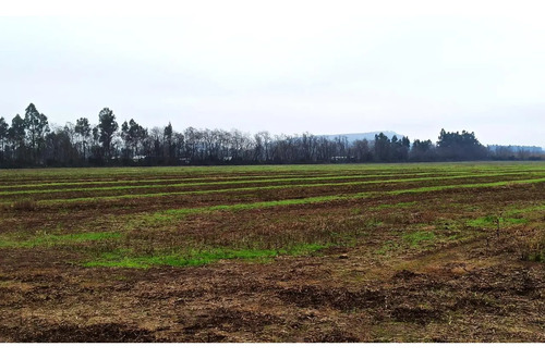 Terreno Agrícola En Venta, Campo De 16,4 Ha, San Clemente