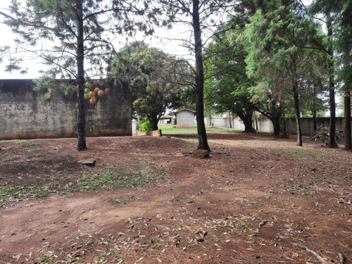 Imagem 13 de 30 de Chácara Com 8.300 M² - 3 Dormitórios - Bunjiro Nakao - Ibiúna Sp - Ch511294v