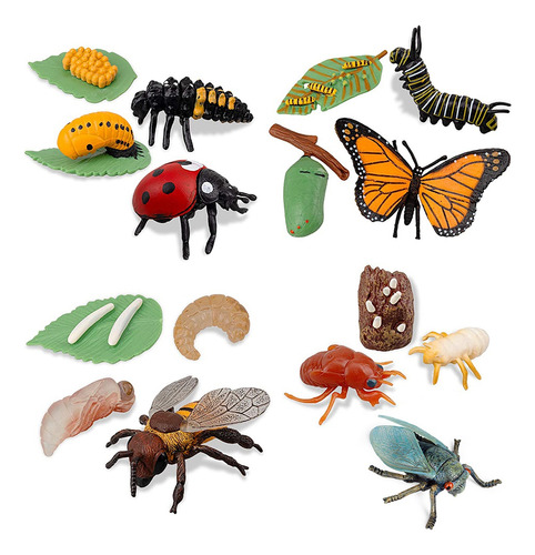 16 Figuras De Insectos Con Forma De Ciclo De Vida De La Mari