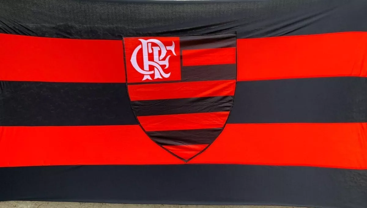 Terceira imagem para pesquisa de bandeira flamengo