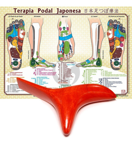 Mapa e instrumento de reflexología podal modelo Asa, color marrón