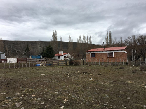 Campo - Tecka