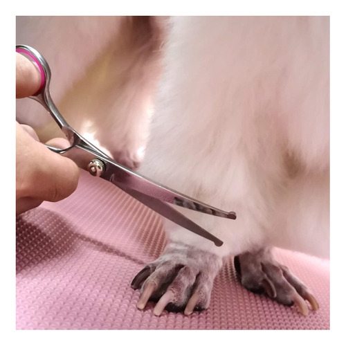 Kit Tijeras De Aseo Para Perros Con Puntas Redondas Faigeo