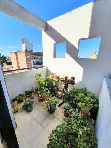 Imagen 7 de 20 de Departamento - Gualeguaychu