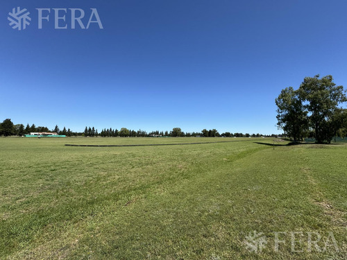 Venta Lote En Club De Campo La Victoria Area 60 En Coronel Brandsen