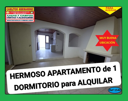 Ref 1540) ** A - Hermoso Apartamento De 1 Dormitorio Para Alquilar En San José