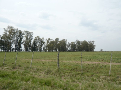Imagen 9 de 17 de Campo En Cañuelas
