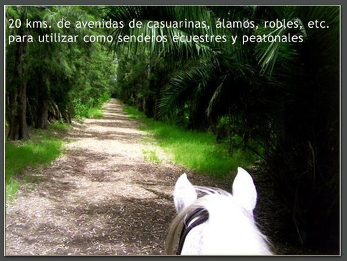 Terreno - Estancia Benquerencia