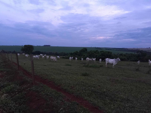 Imagem 3 de 4 de Fazenda Dupla Aptidão Município Prata