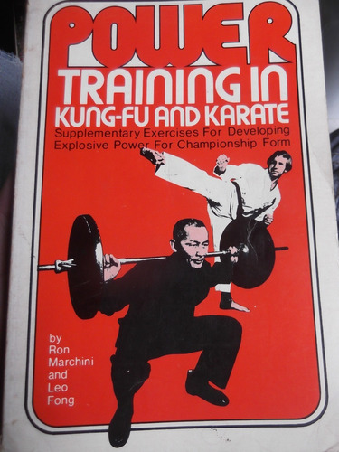 Power Training In Kung-fu And Karate Martial Arts Exercises