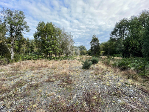 Parcela 5.750 M² Con Bosque Nativo, Cerca De Puerto Varas