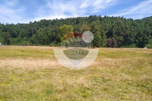 Terreno De Ensueño En Los Lagos: ¡invierte Hoy!