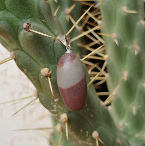 Pingente Shiva Lingam