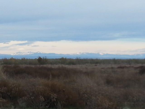 Imagen 2 de 20 de Campo En Venta 400 Ha - Colonia Elena- San Rafael - Mendoza