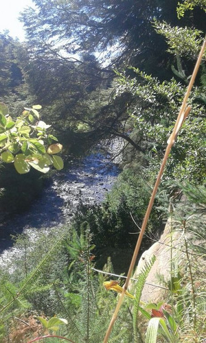 Lote De 4.380 M2 Con Costa De Rio Bonito - V. Angostura
