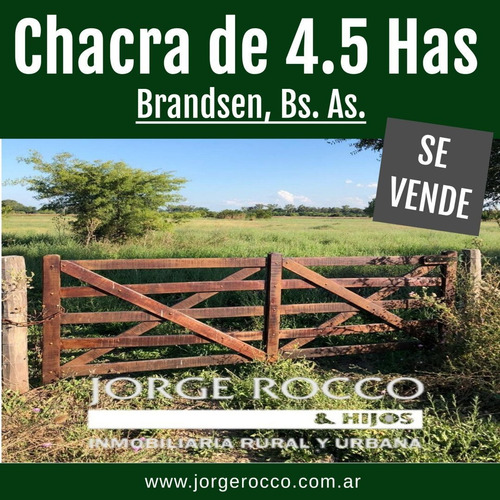 Chacra De 4 Has En Brandsen