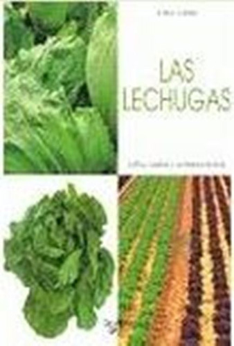 Las Lechugas - Cultivo Cuidados Y Consejos, Sirtori, Vecchi