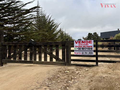 Sitio 647m2 En Cerro, En Venta En Pichilemu Punta De Lobos