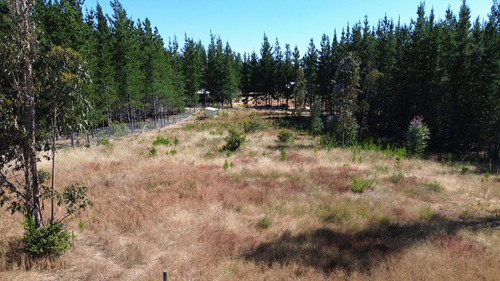 Se Vende Parcela Orilla Carretera Lomas De Pichilemu