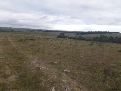 Campo De 47 Has En Paraje Los Caracoles - Consulte !!!!!- Ref: 1359