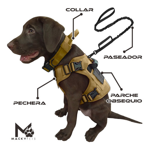Imagen 2 de 9 de Pechera Táctica Perro + Collar + Paseador + Parche /talla Xs
