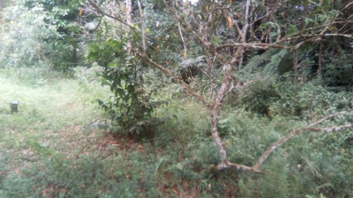 Terreno De Chácara Desmatado No Bopiranga - 3951 | Npc