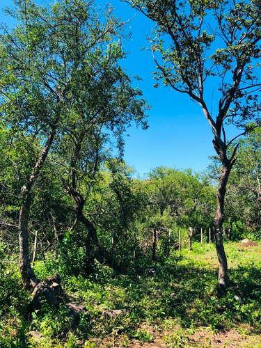 Imagen 3 de 14 de Lote De 2028 M2 Ubicado En Las Chacras - Villa De Las Rosas
