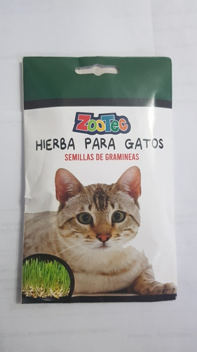 Semillas De Gramineas Hierbas 80gr Gatos Comestible Zootec