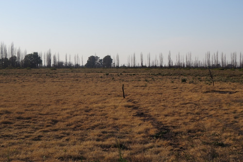 Imagen 12 de 12 de Vendo Finca 25 Hectareas En Colonia Elena San Rafael Mendoza