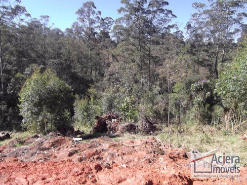 Cotia Recanto Verde Excelente Terreno A 500m Da Rod.raposo Tavares, Com Linda Vista E Fundo Para Área Verde - Te0578
