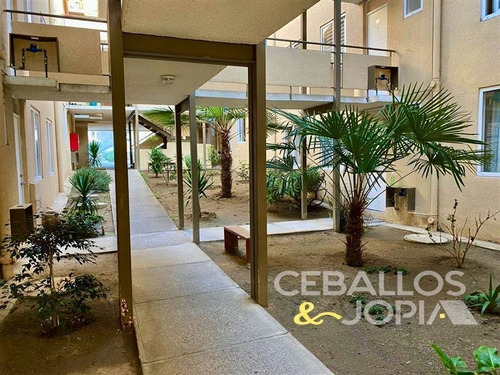 Imagen 4 de 17 de Departamento En Venta En Quilpué
