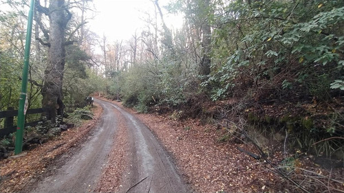 Imagen 11 de 13 de Susana Aravena Propiedades Terreno - San Martin De Los Andes