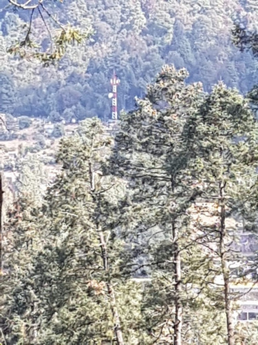 Imagen 8 de 15 de Venta De Terreno En Salazar La Marquesa Estado De Mexico