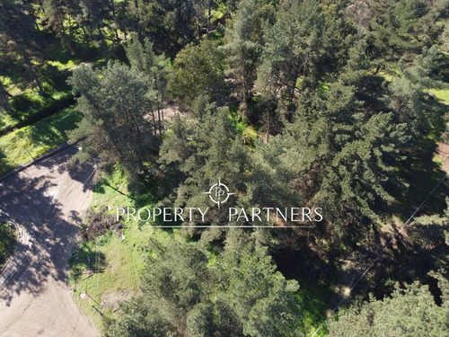 Terreno En Los Pinos