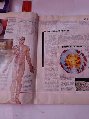 Revista Muy Interesante No 7 Año 10 (Usado)