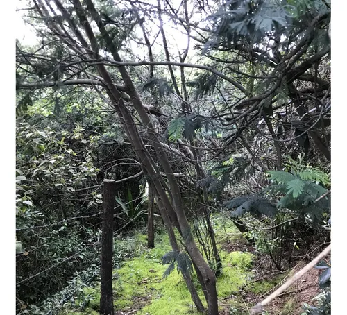 Magnífico Lote, Vereda Centro, Fúquene Cundinamarca