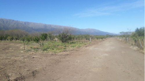 Lote De 2000m2 En Cerro De Oro, Villa De Merlo Acceso Por Granadilla