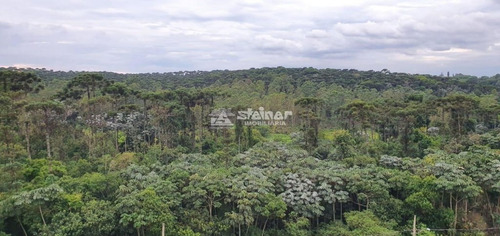 Imagem 19 de 19 de Venda Apartamento 3 Dormitórios Bonsucesso Guarulhos R$ 350.000,00 - 37702v