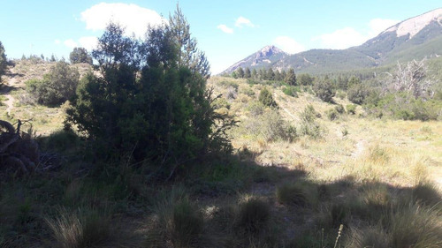 Imagen 2 de 9 de Terreno De 1500 M2 A 15 Metros Del Arroyo