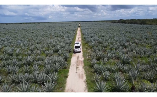Preventa De Lotes Residenciales En Víamarina Telchac Vive A Minutos De Playas Platino En Yucatán