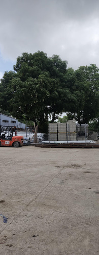 Solar Alquiler Autopista Duarte