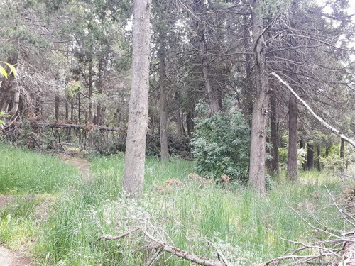 Imagen 12 de 18 de Terreno - Cerro Runge