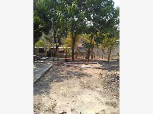 Imagen 4 de 6 de Terreno En Venta Cruz De Corazón