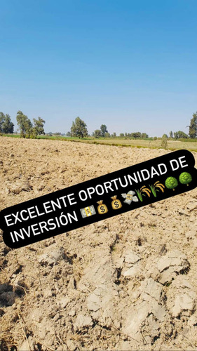 Imagen 9 de 11 de Terreno Agrícola En Pisco - San Clemente Ocasión De Venta
