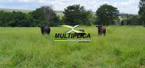 Imagem 15 de 15 de Fazenda Uberlândia Mg Para Pecuária Ou Soja, Milho 82,03 Hectares - 358