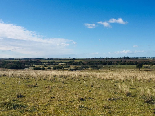 Vendo Campo Sobre Ruta 39 A 20 Minutos De Punta Del Este