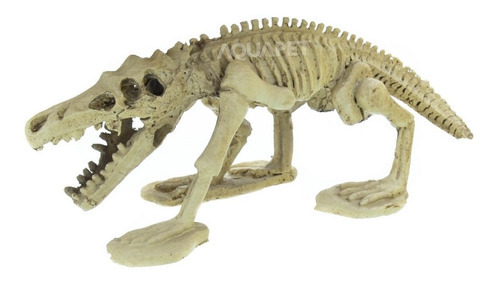 Enfeite Para Aquários Esqueleto De Dinossauro Ns-99 Nomoypet