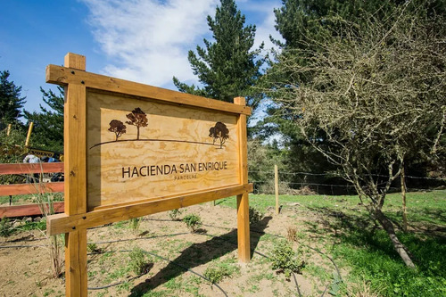 Parcela 1 Hectárea Para Proyecto Sustentable | Navidad