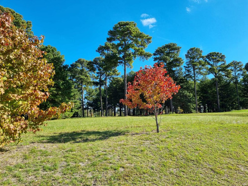 Terreno - Los Pinares C. Club